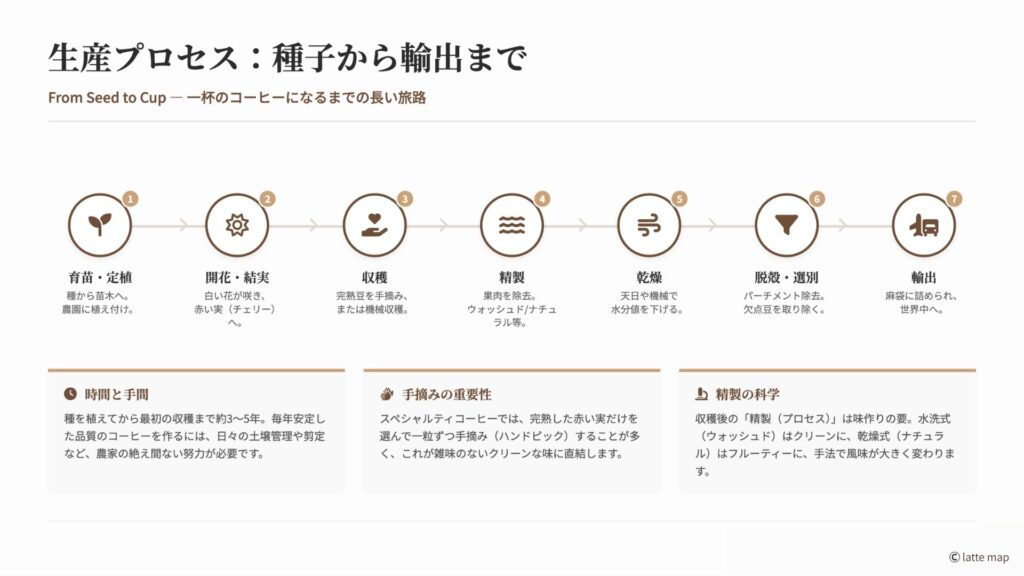 コーヒーストーリー